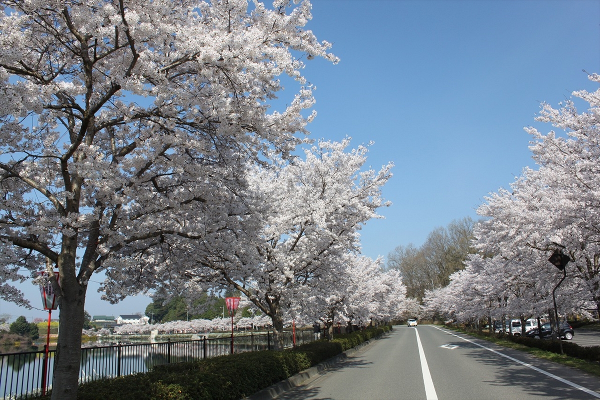 上野公園