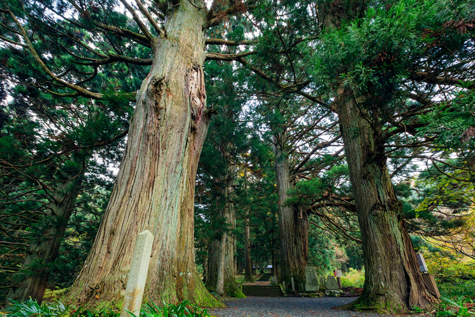 神秘的な雰囲気漂うパワースポット「熊野神社」