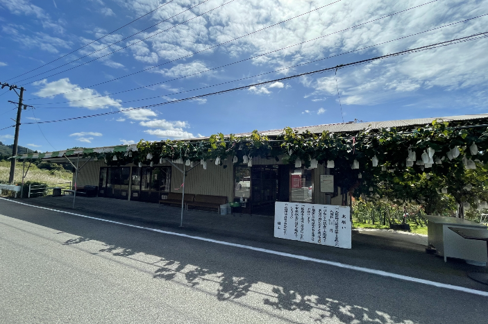 森下観光りんご園