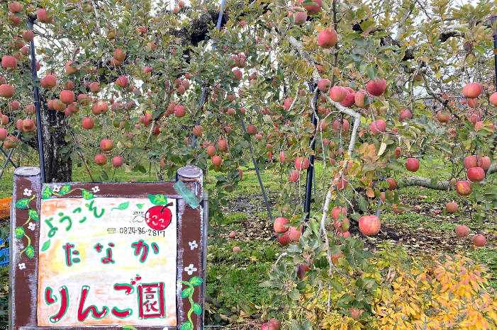田中りんご園