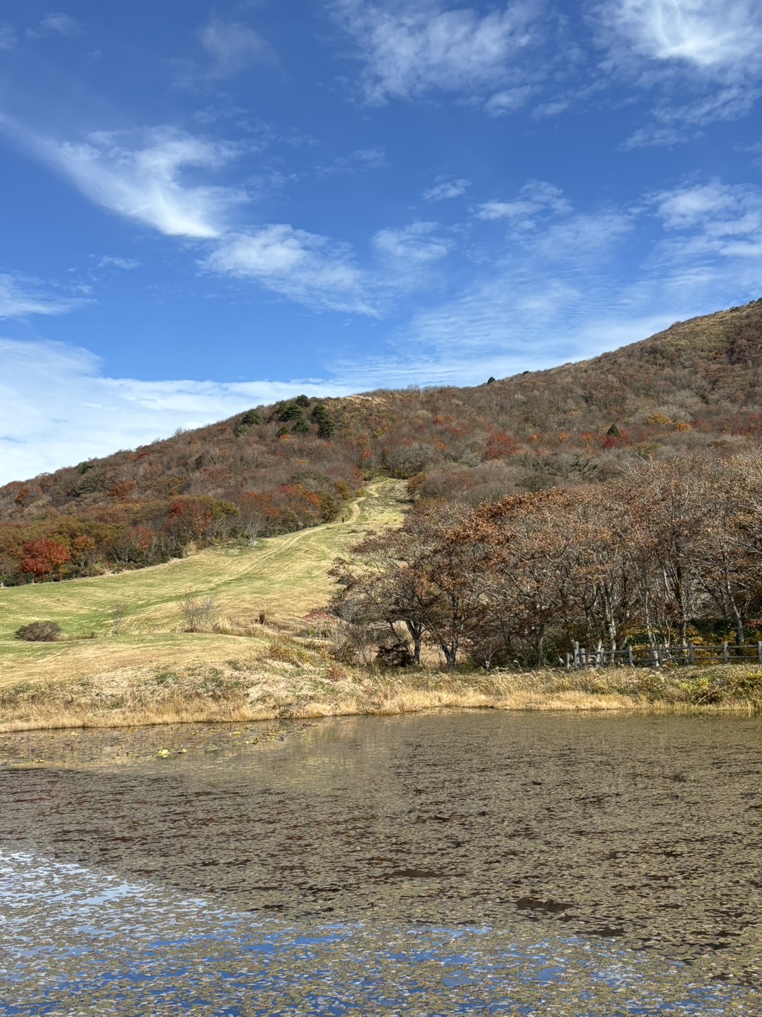 見どころ
吾妻山は「比婆道後帝釈国定公園」に属し、広島県北部の庄原市から北に35kmほどの場所にあります。休暇村吾妻山ロッジは2020年に閉館致しました。
お手洗いは、元キャンプ場の公衆トイレをご利用ください。
※気象状況により、変動することがありますので、予めご了承ください。