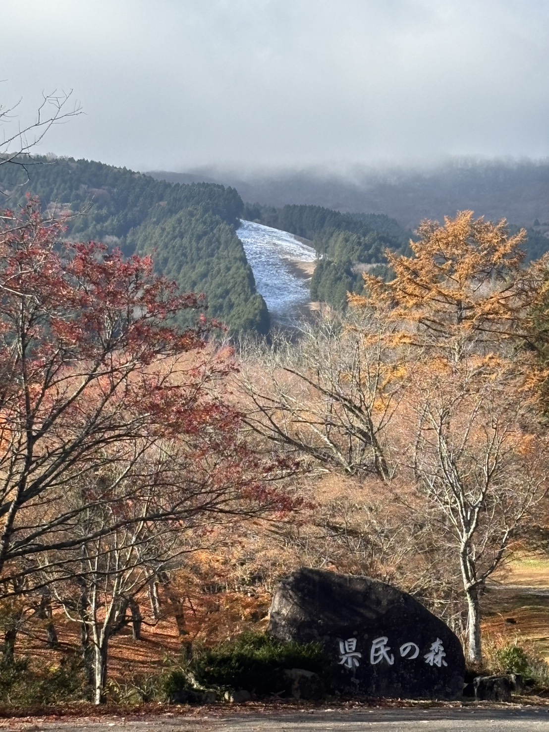 見どころ
標高1,200メートル級の山々が連なり、比婆山御陵付近は国指定天然記念物のブナ純林に覆われています。
気象状況により、変動することがありますので、予めご了承ください。

アクセス
ひろしま県民の森公園センターまで
庄原ICから約40分　東城ICから約40分