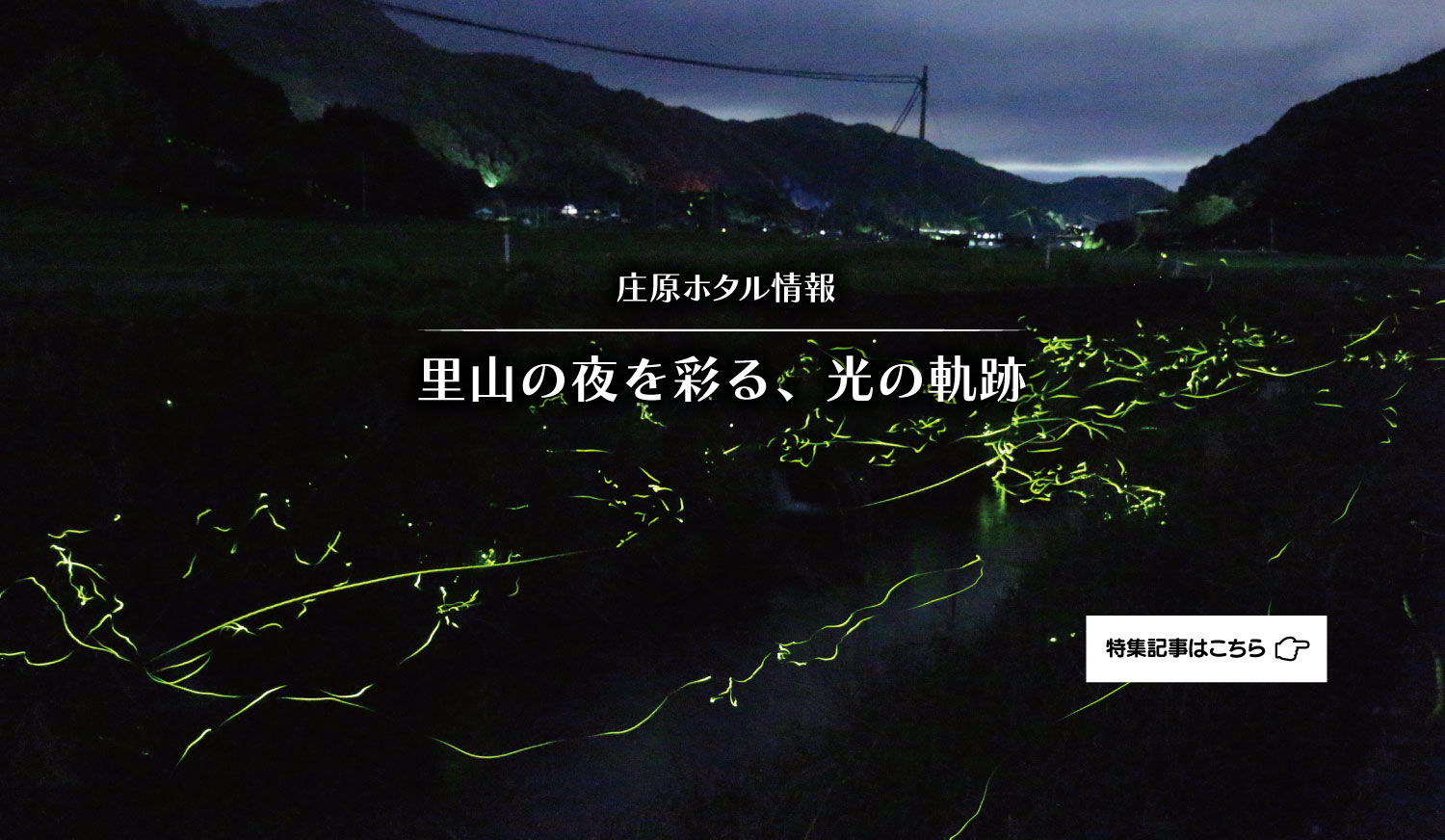 庄原ホタル情報