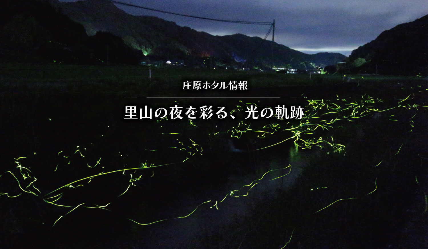 庄原ホタル情報