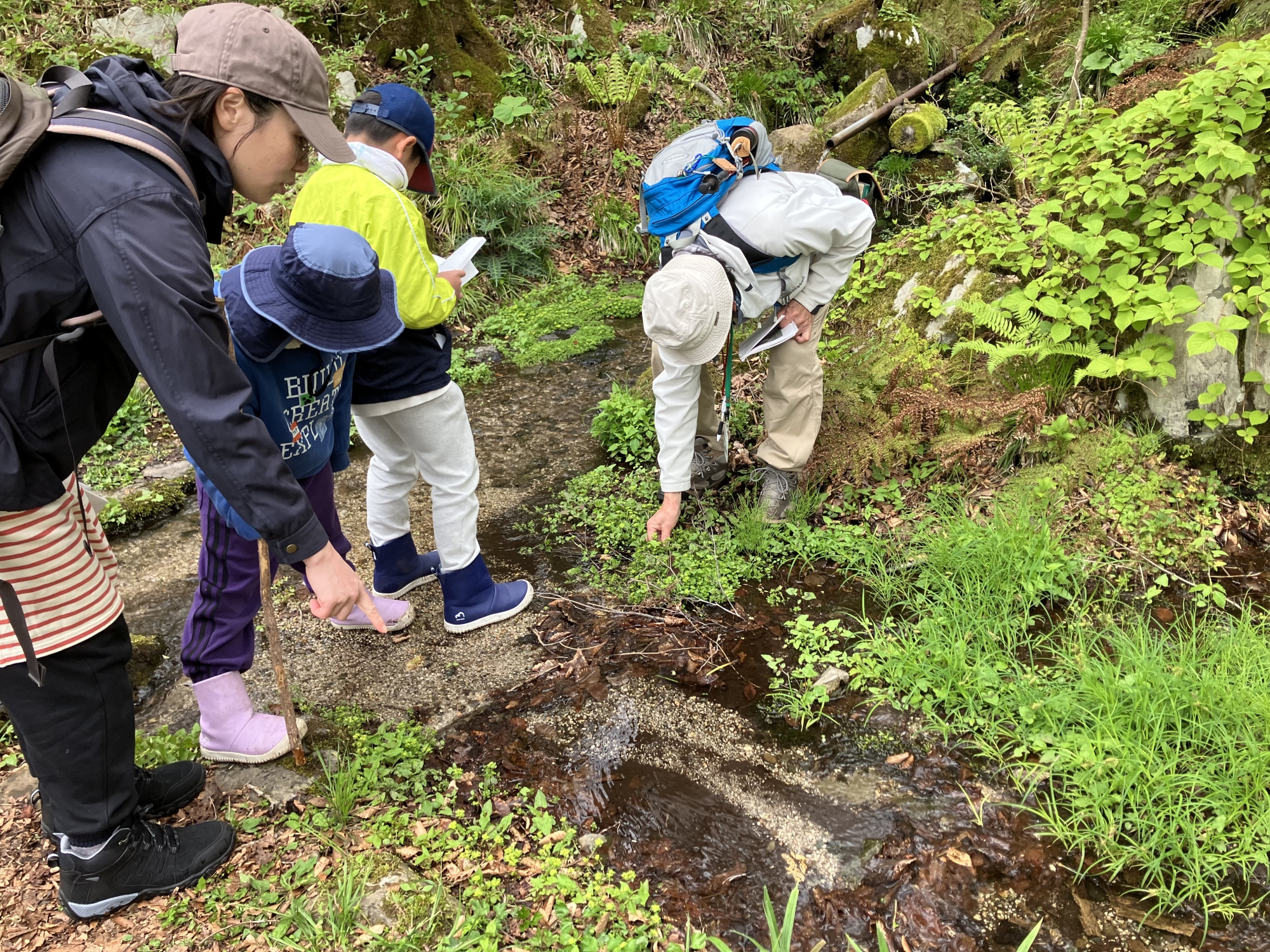 春の吾妻山を親子で楽しむ！草花と触れ合う自然体験