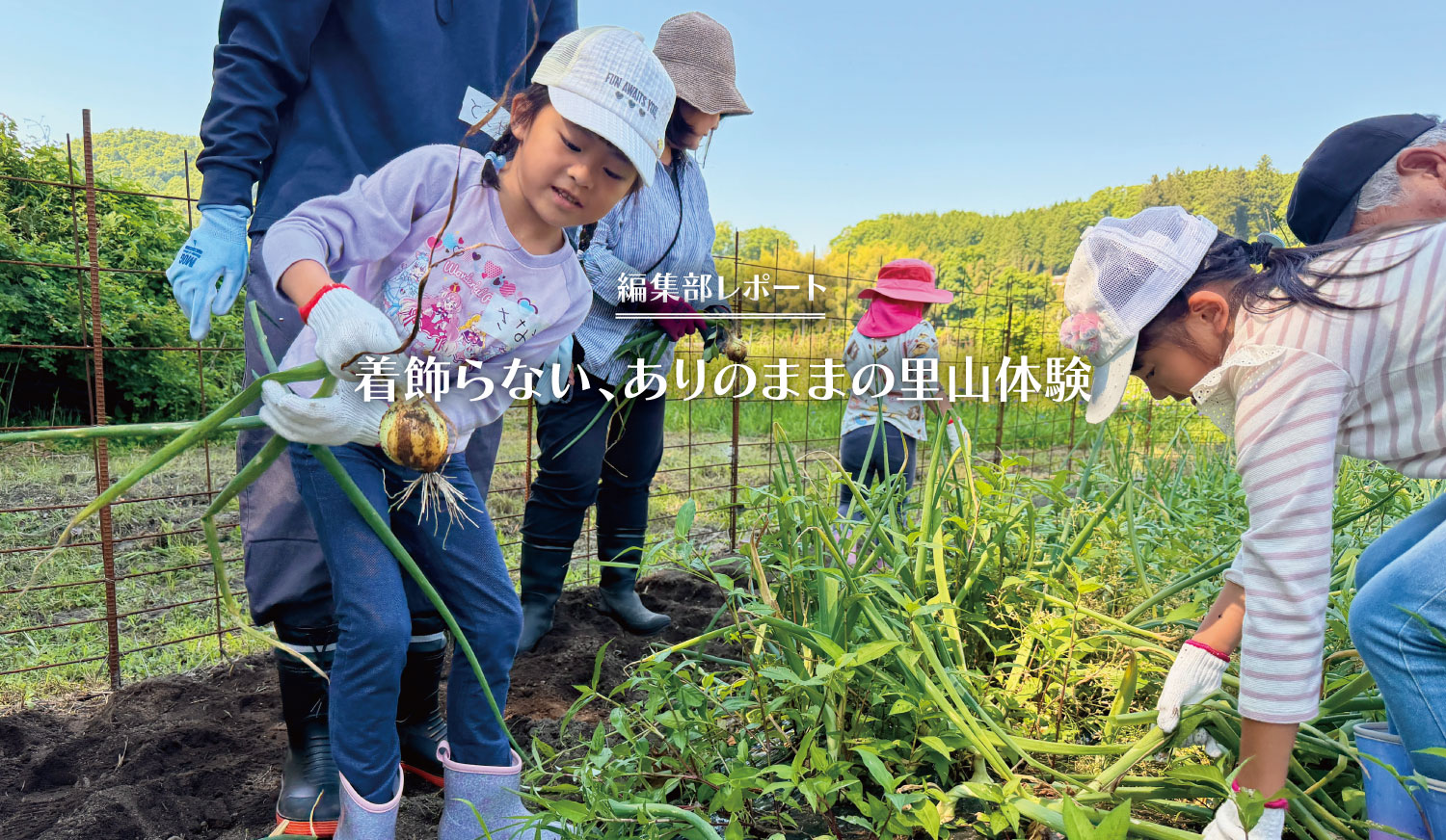 編集部レポート_普段着の口和