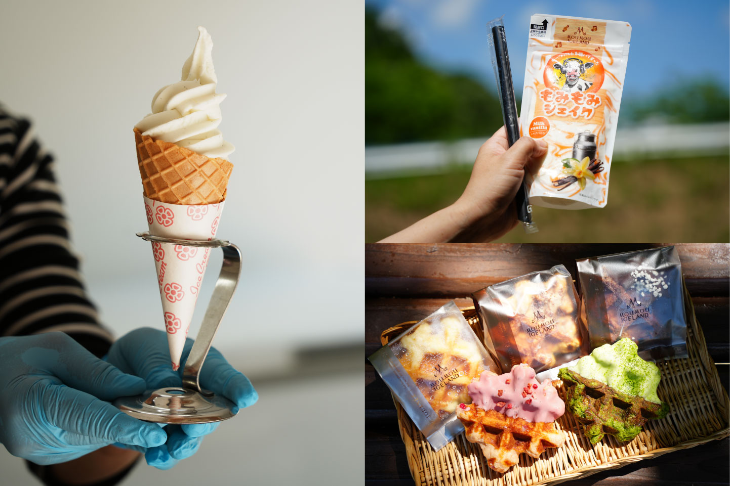 10年ぶりに再オープン！モーモーあいすらんどでいただく手作りジェラート