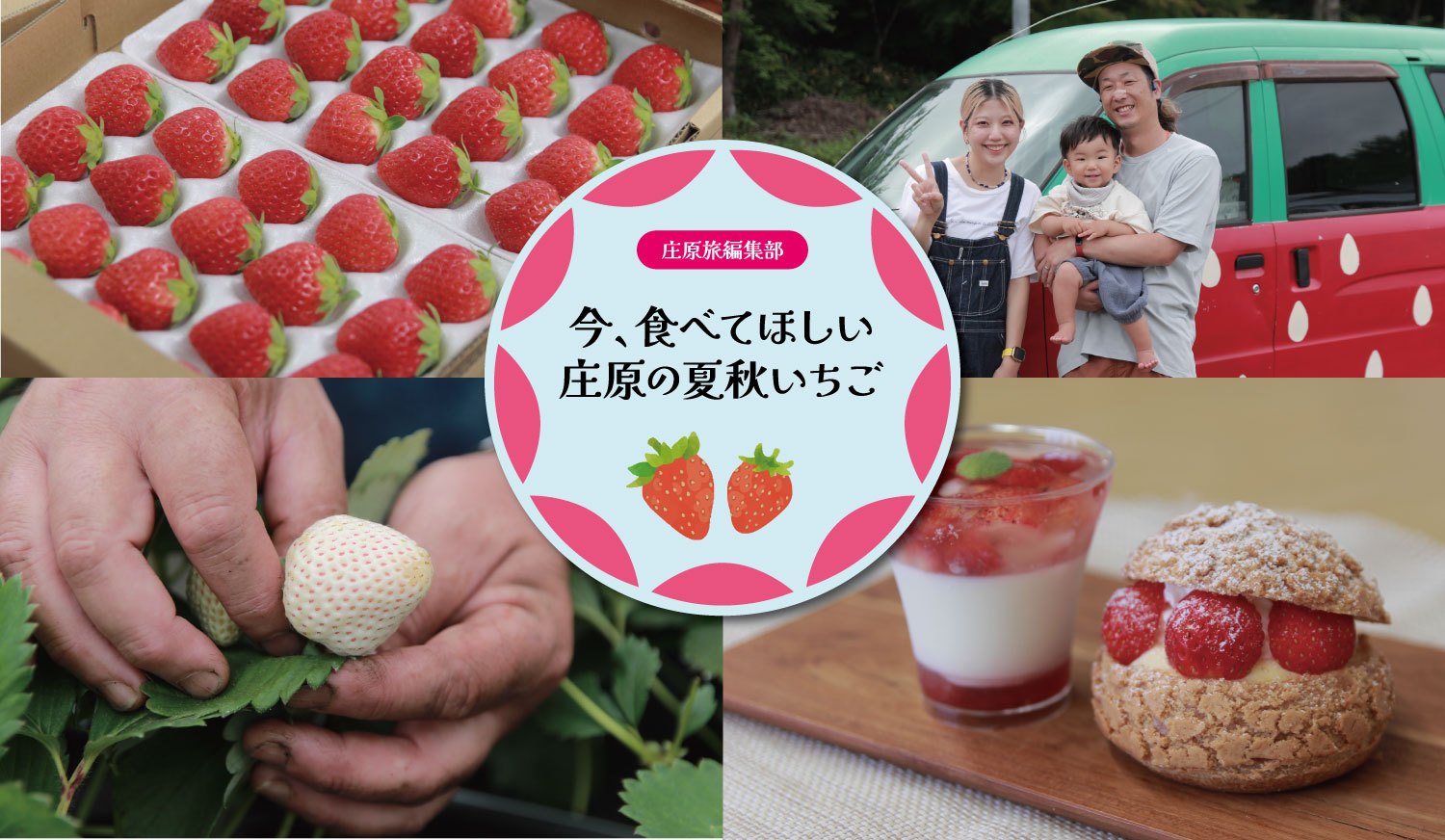 編集部レポート_夏いちご