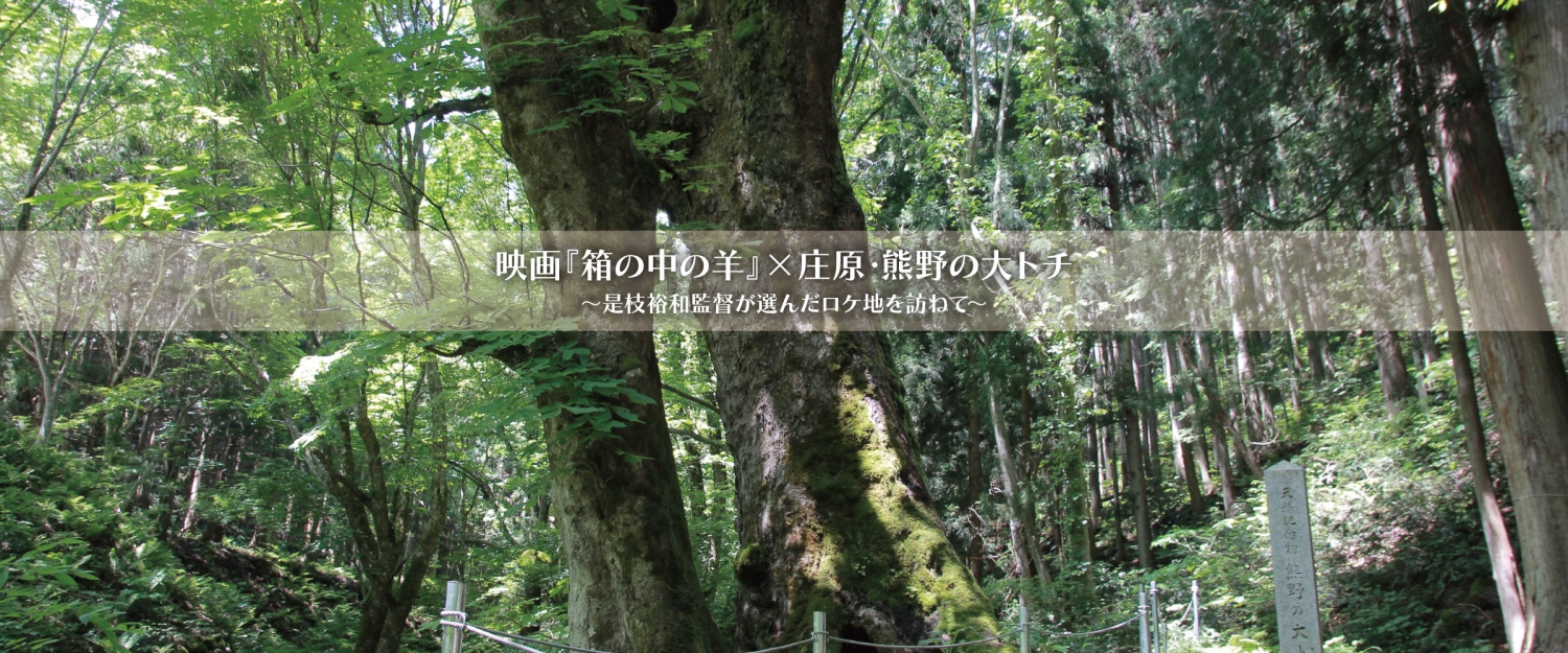 西城町・熊野の大トチ