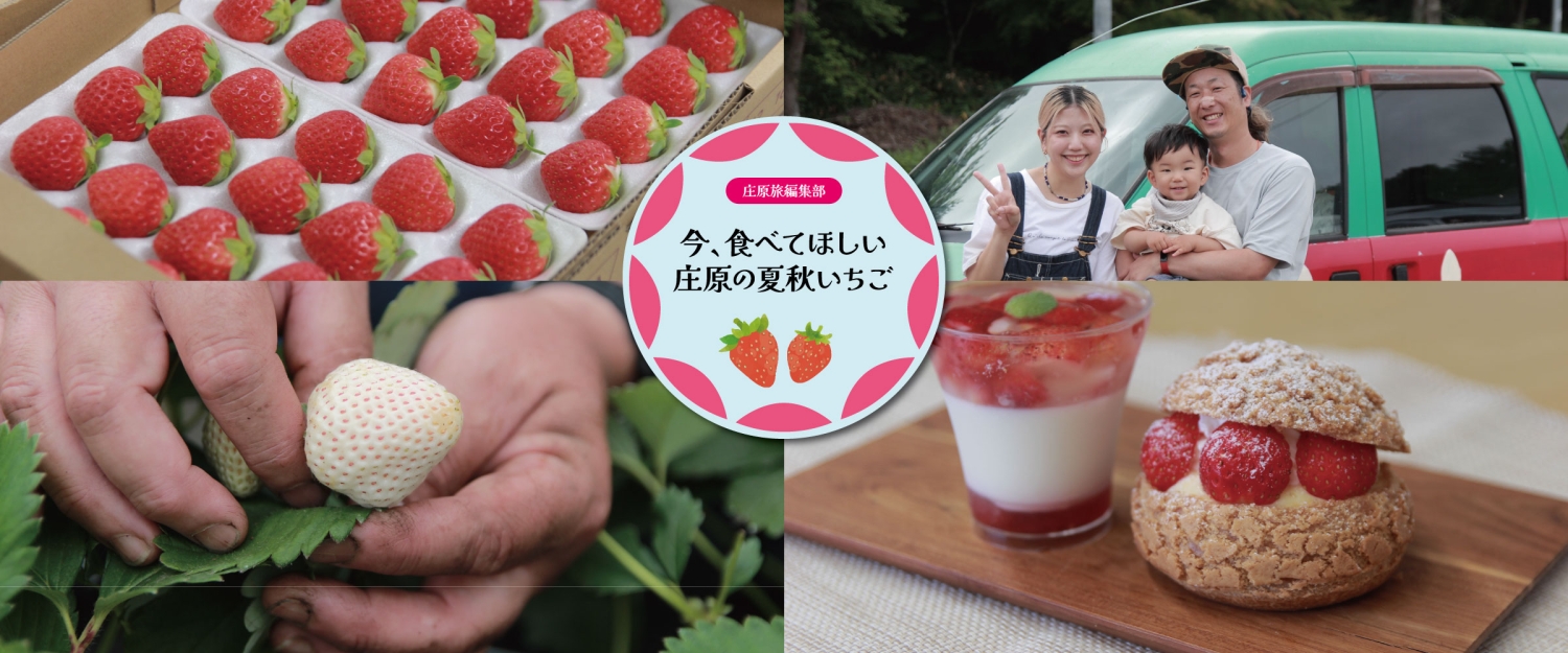 編集部レポート_夏いちご