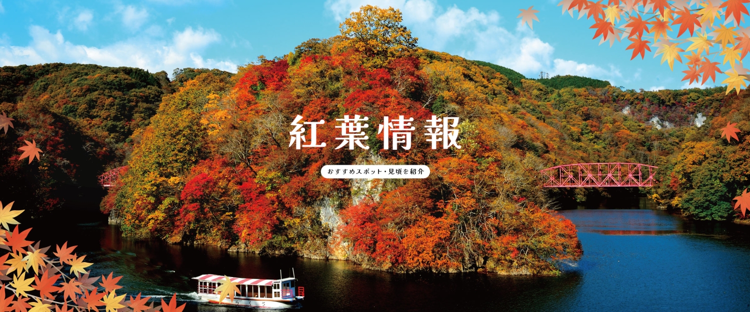 紅葉情報