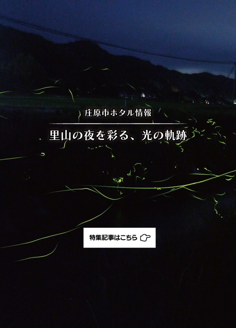 庄原ホタル情報
