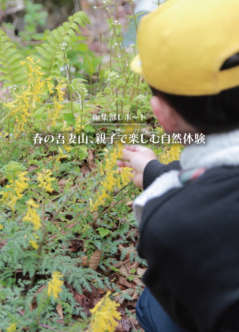 編集部レポート_自然体験