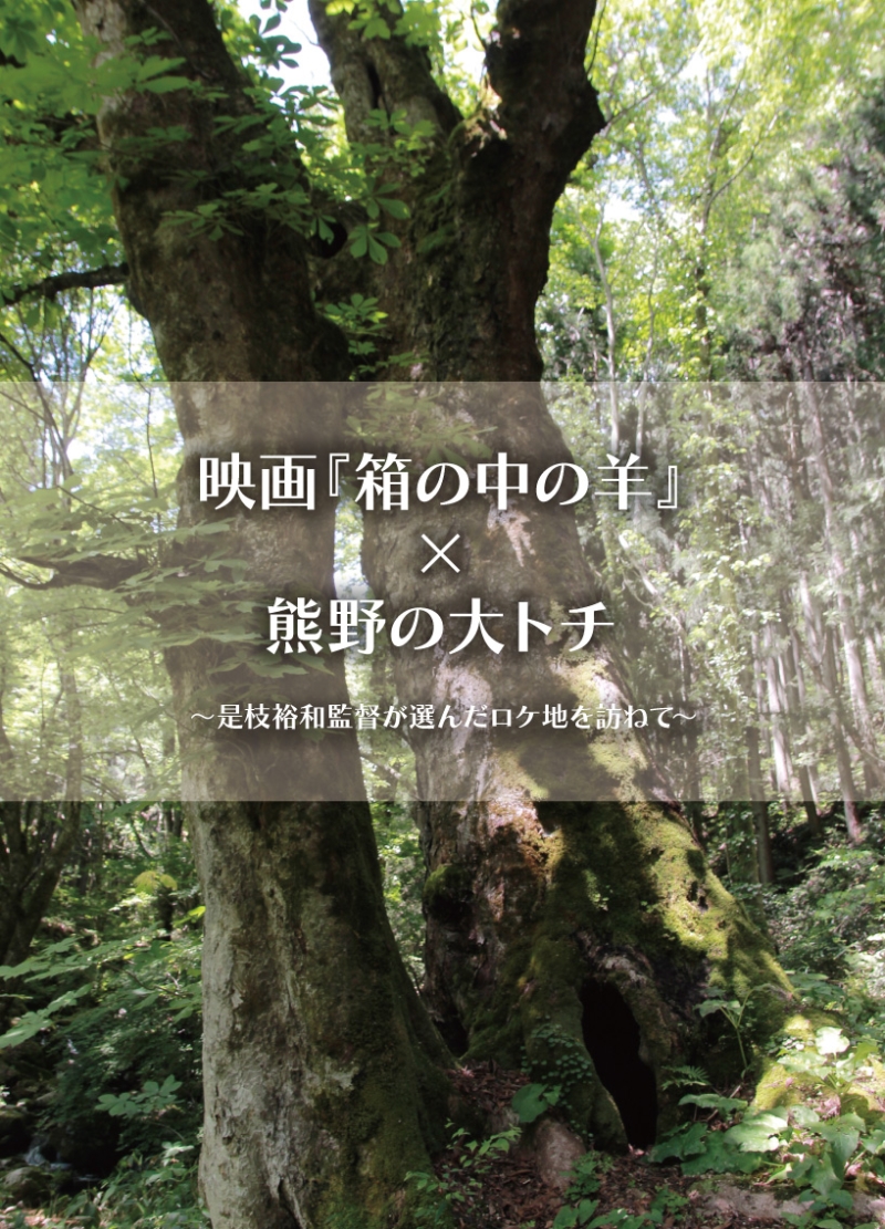 西城町・熊野の大トチ