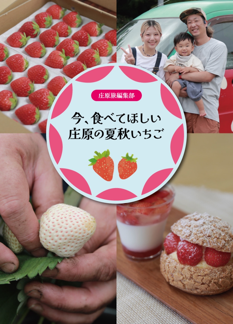 編集部レポート_夏いちご