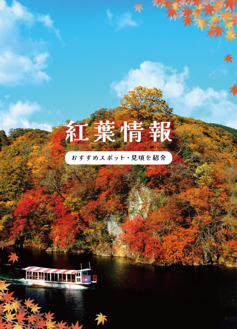 紅葉情報
