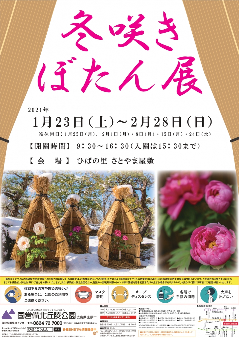 冬咲きぼたん展 庄原観光ナビ 公式 広島県庄原市観光情報サイト 冬咲きぼたん展 庄原観光ナビ 公式 広島県庄原市観光情報サイト