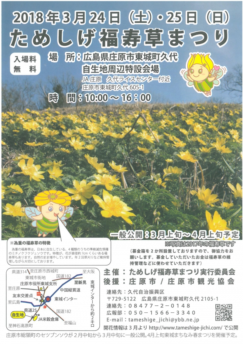 ためしげの福寿草 自生地公開(公開期間:3月上旬~4月上旬予定 ためしげの福寿草 自生地公開(公開期間:3月上旬~4月上旬予定