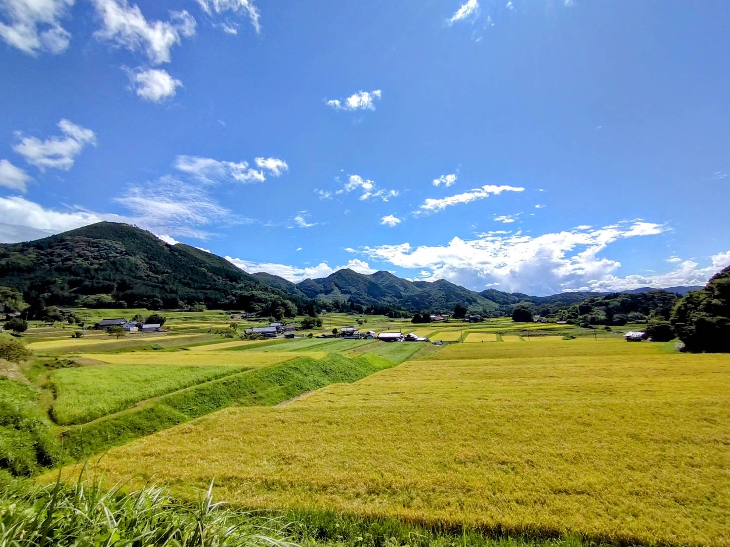 庄原市比和町×JAFドライブスタンプラリー