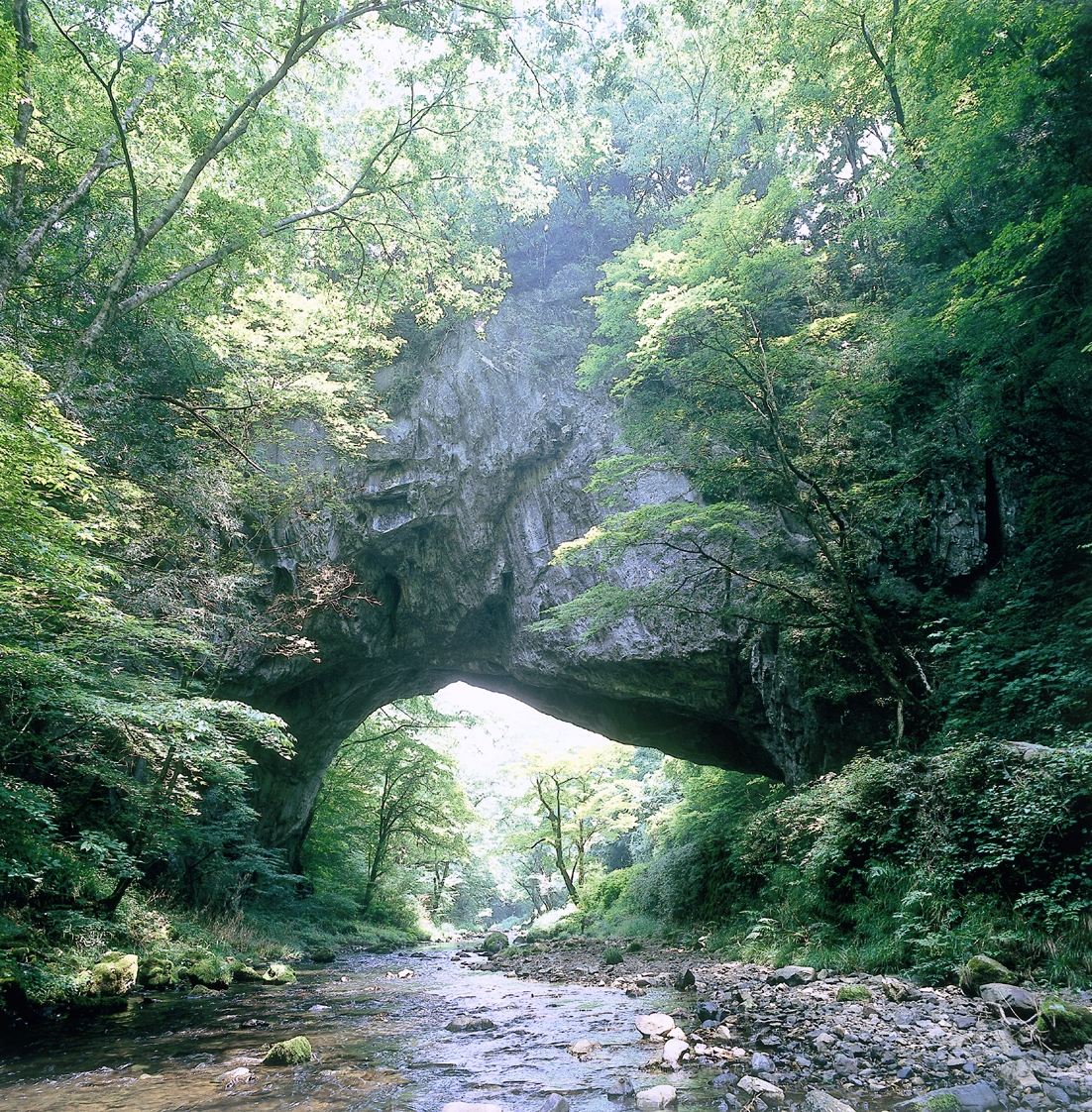 全国1,724自治体から選ぶ!「夏に行きたい避暑地ランキング」TOP100で第23位を獲得しました