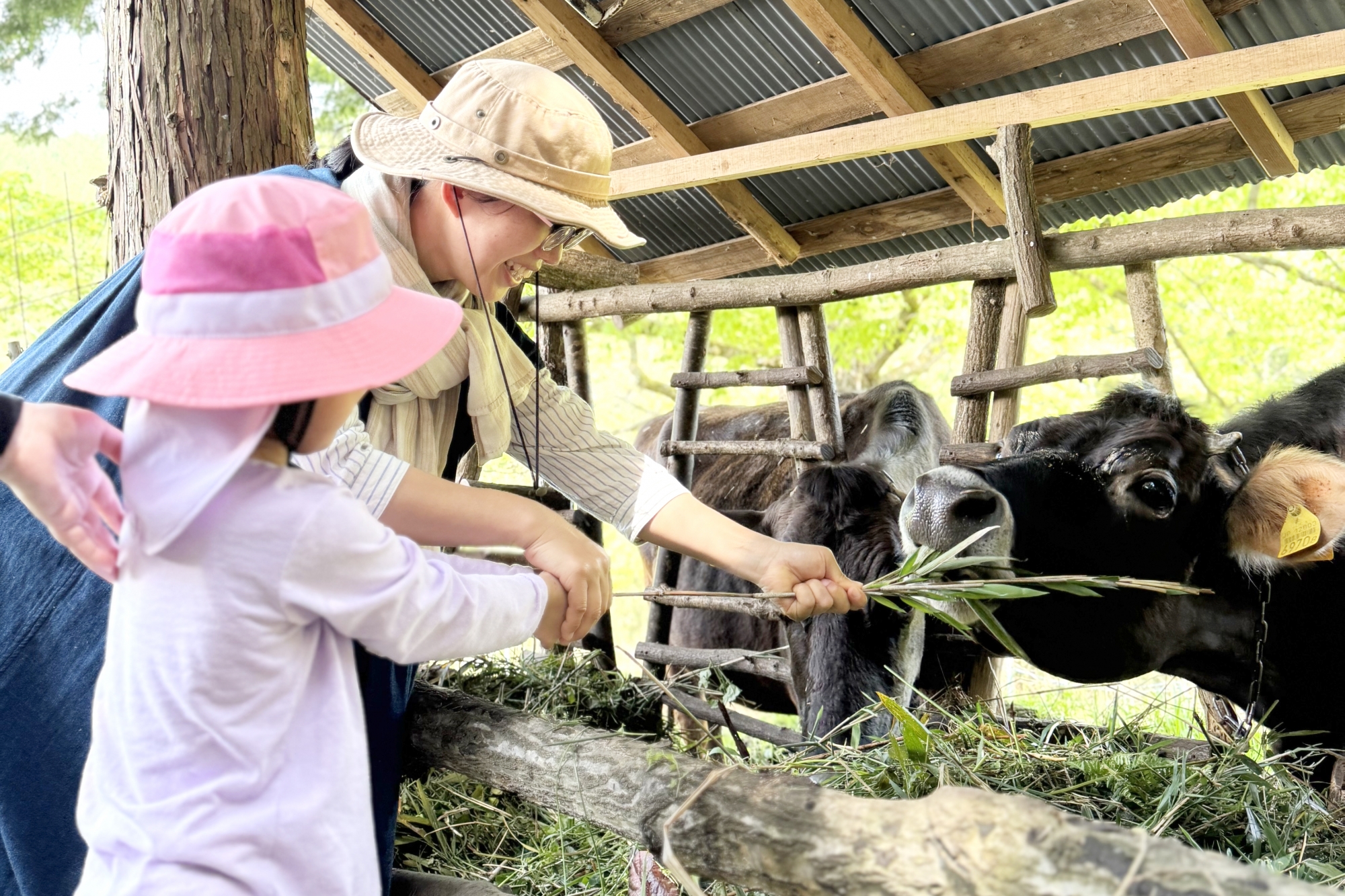 【編集部レポート更新しました！】家族で大自然を満喫！広島「ふくふく牧場」で楽しむ特別な体験