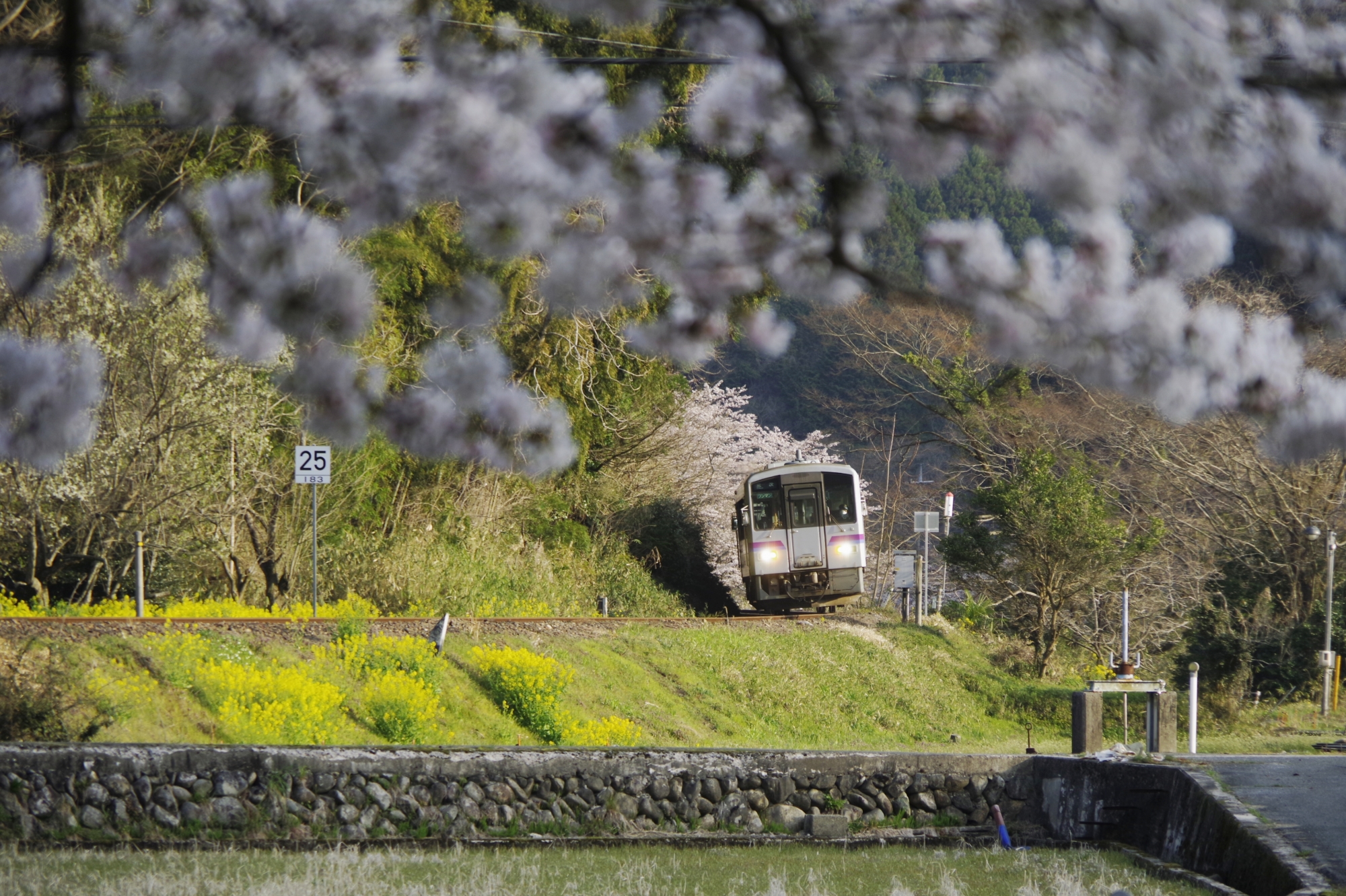 未来へつなぐ芸備線~地域の取組紹介~