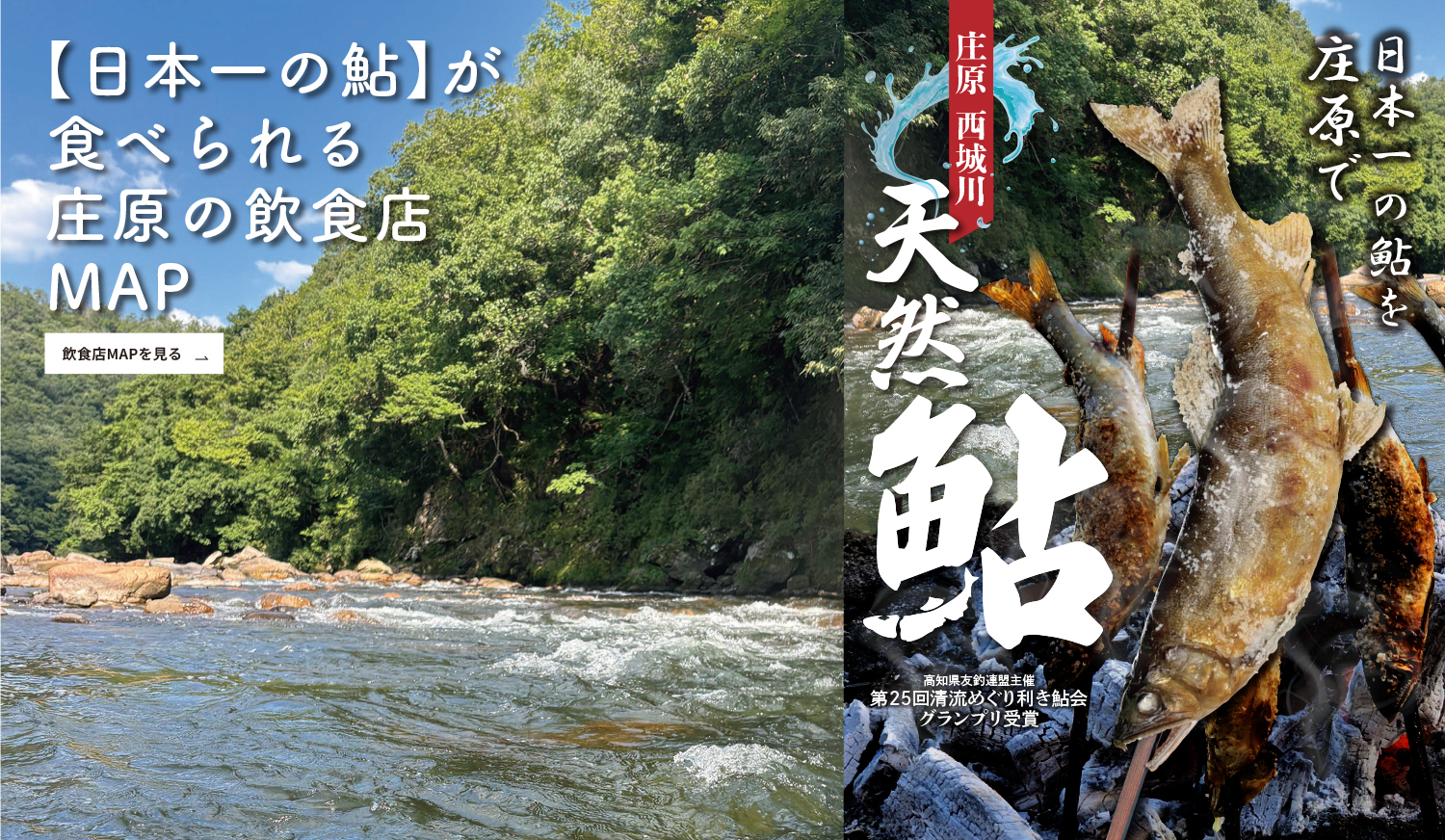 庄原　西城川　鮎