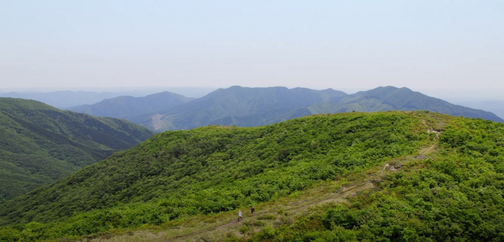 【編集部レポート更新しました！】初めての登山でも安心！絶景＆絶叫！？レトロジープでガイドと巡る比婆山を体験してみた
