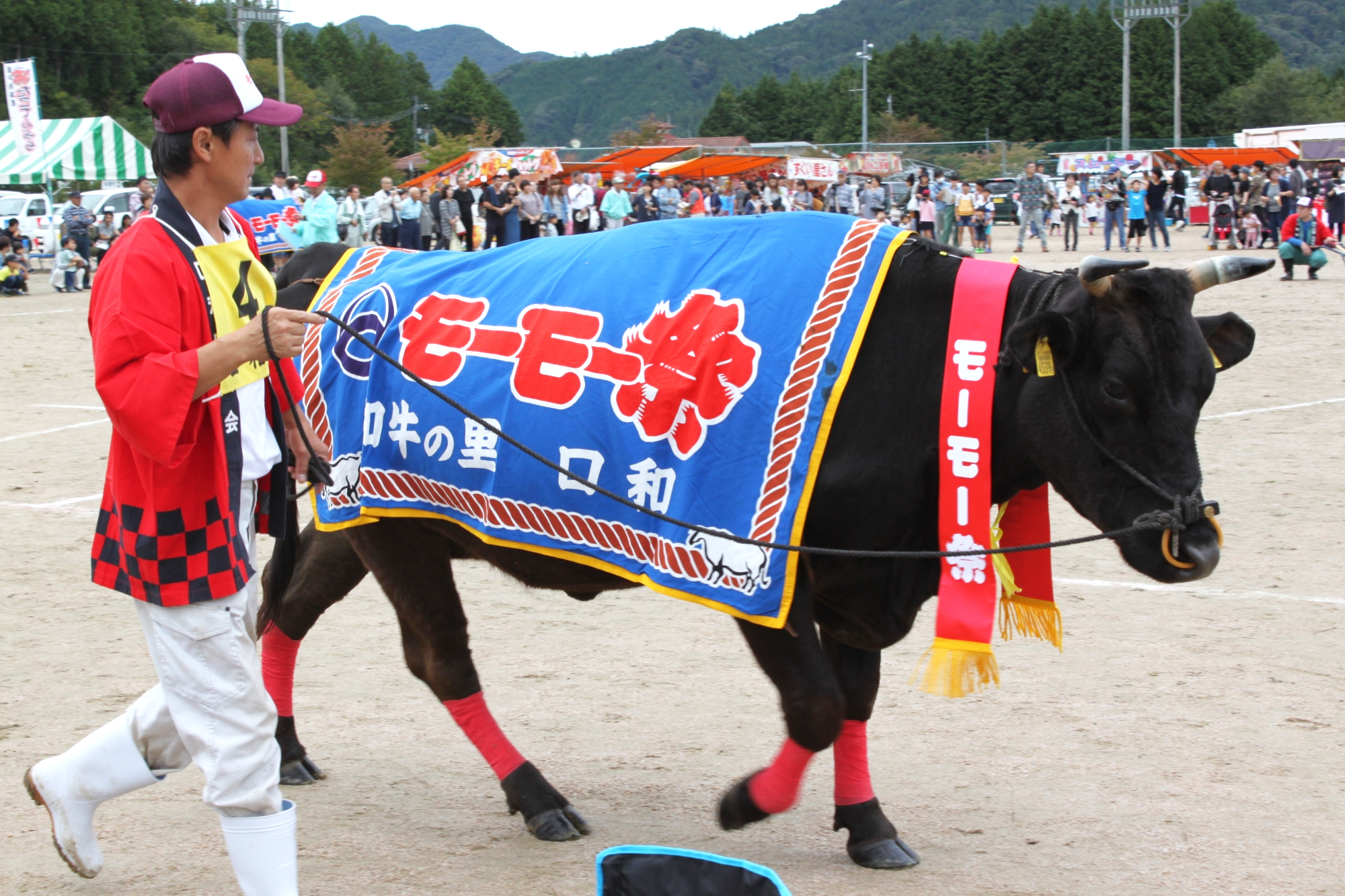 【2025年秋】庄原市内のイベント＆祭りまとめ8選！開催情報や見どころは？