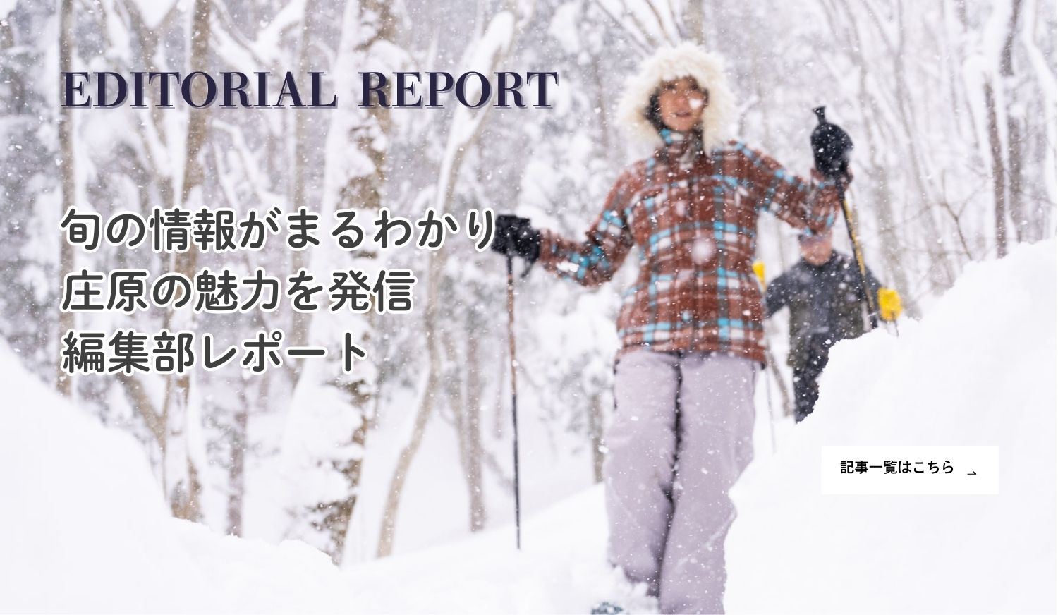編集部レポート一覧