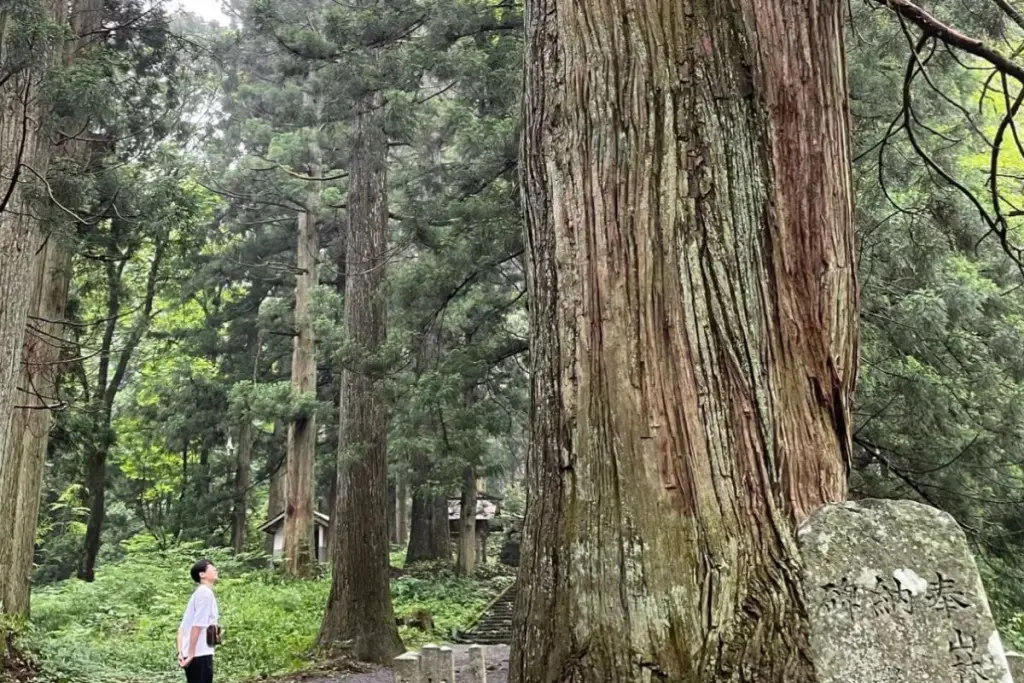 イザナミの伝説と巨木が息づく神域「比婆山」が紹介されました！｜Pretty Online 