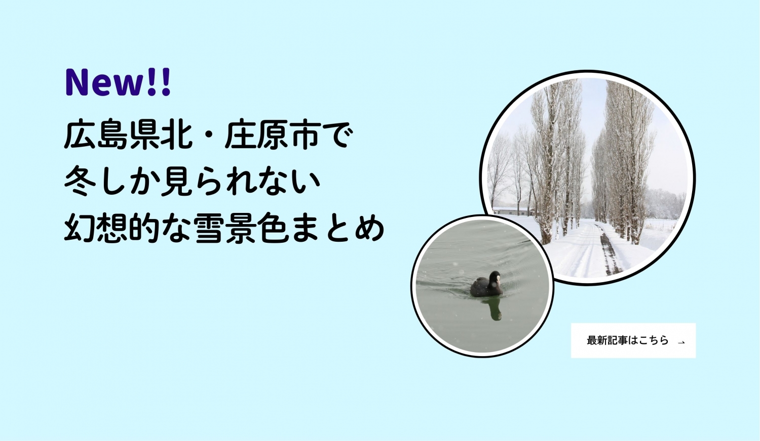 編集部レポート最新記事（1/20雪景色まとめ）
