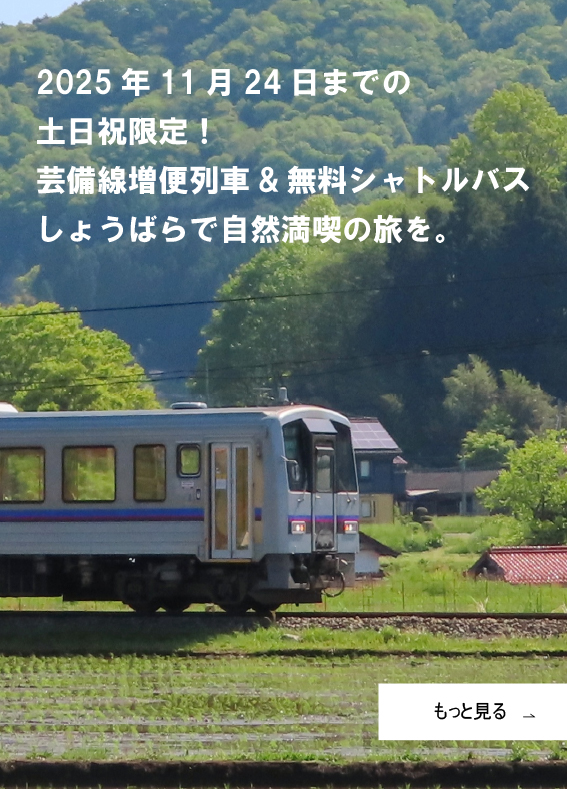 芸備線の増便列車＆無料シャトルバス