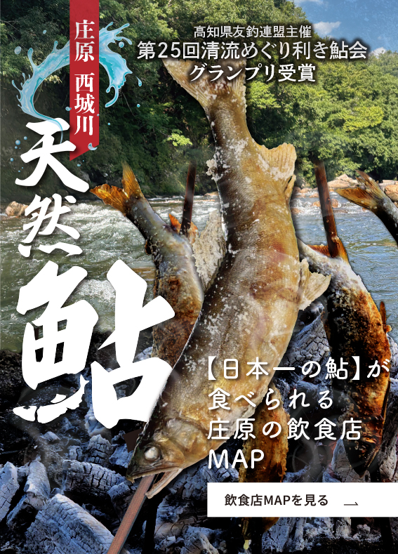 庄原　西城川　鮎