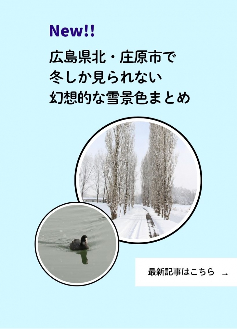 編集部レポート最新記事（1/20雪景色まとめ）