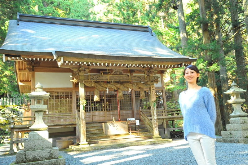 熊野神社の老杉