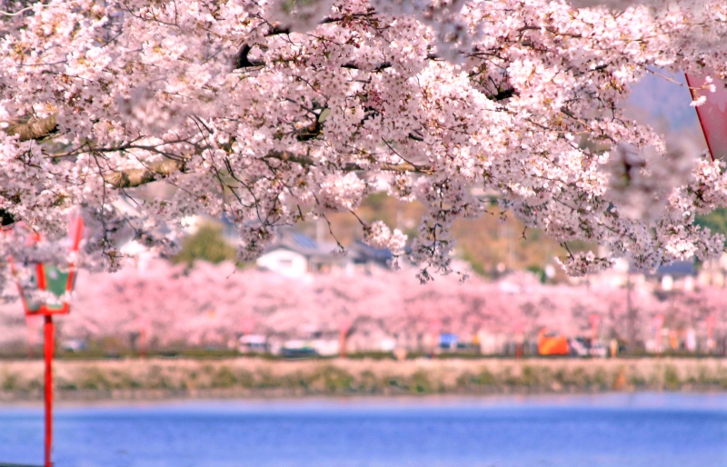 上野公園