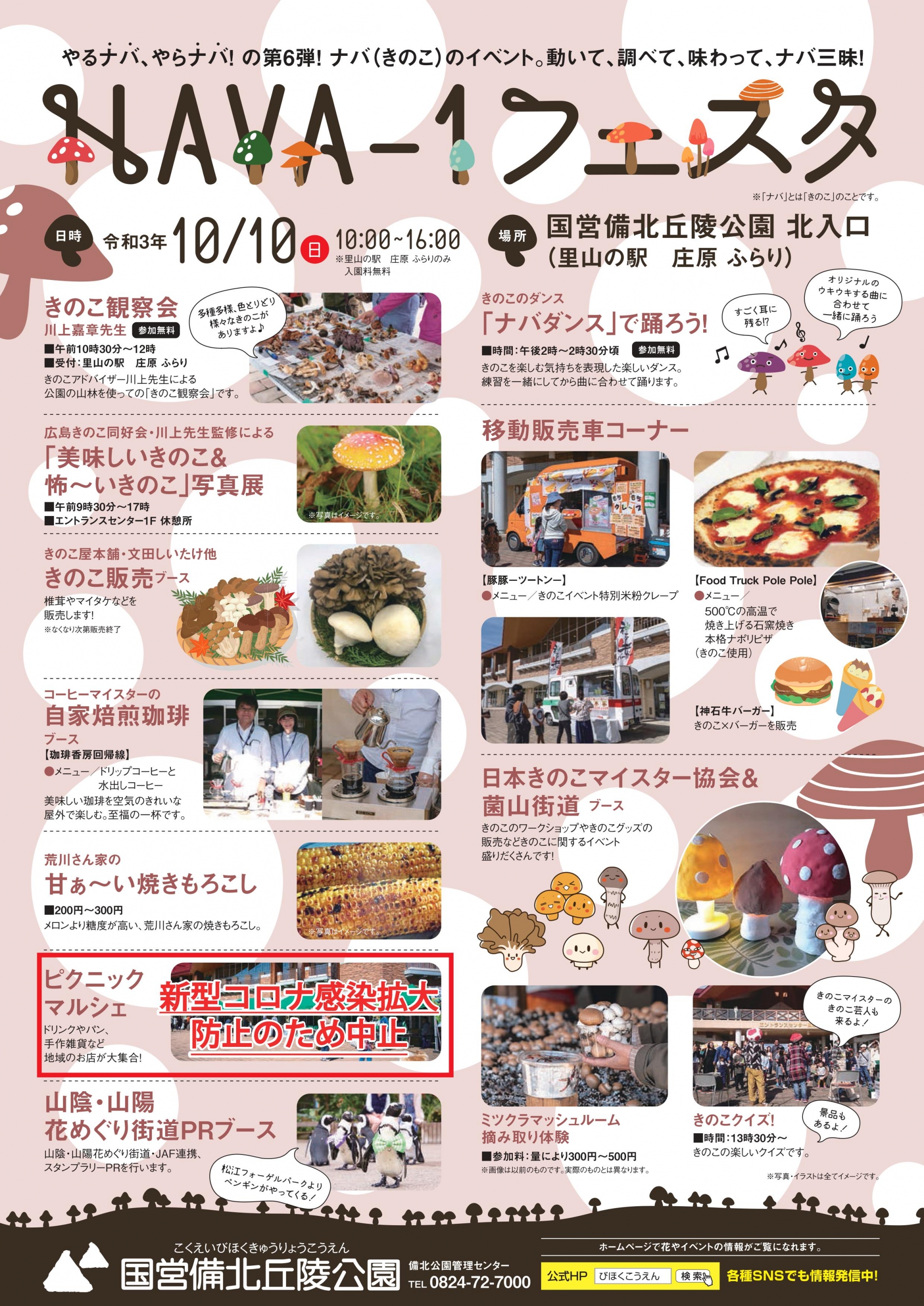 NAVA-1フェスタ開催！！