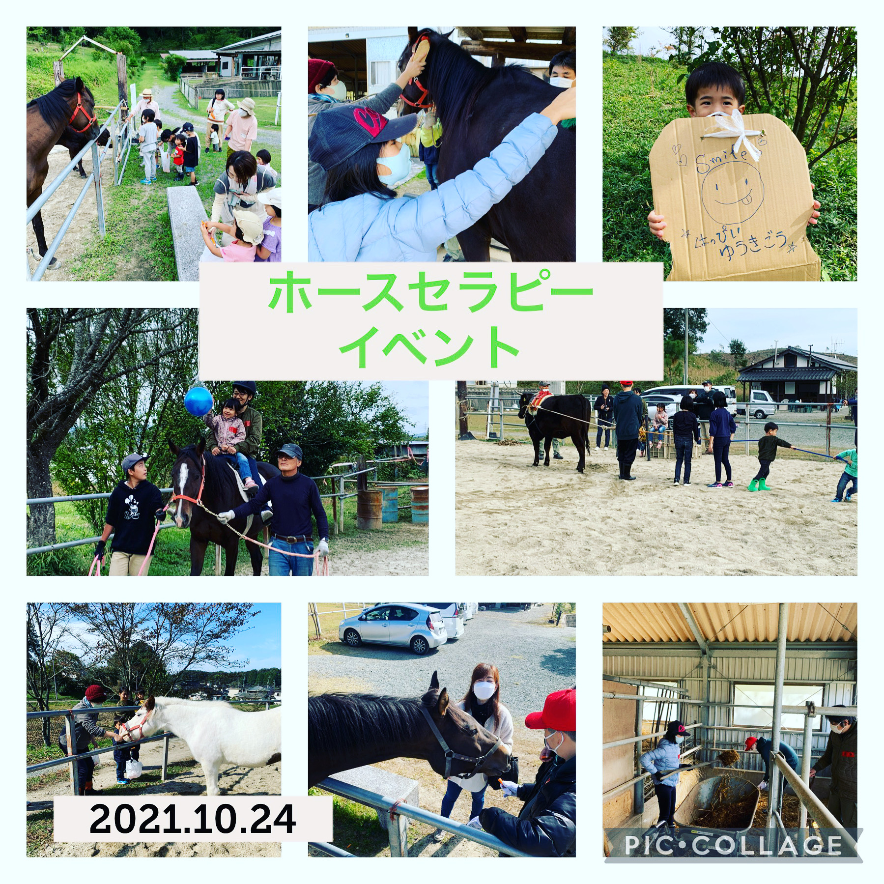 12月11日（雨天の場合は12日）　ホースセラピー　（申込12月9日まで）