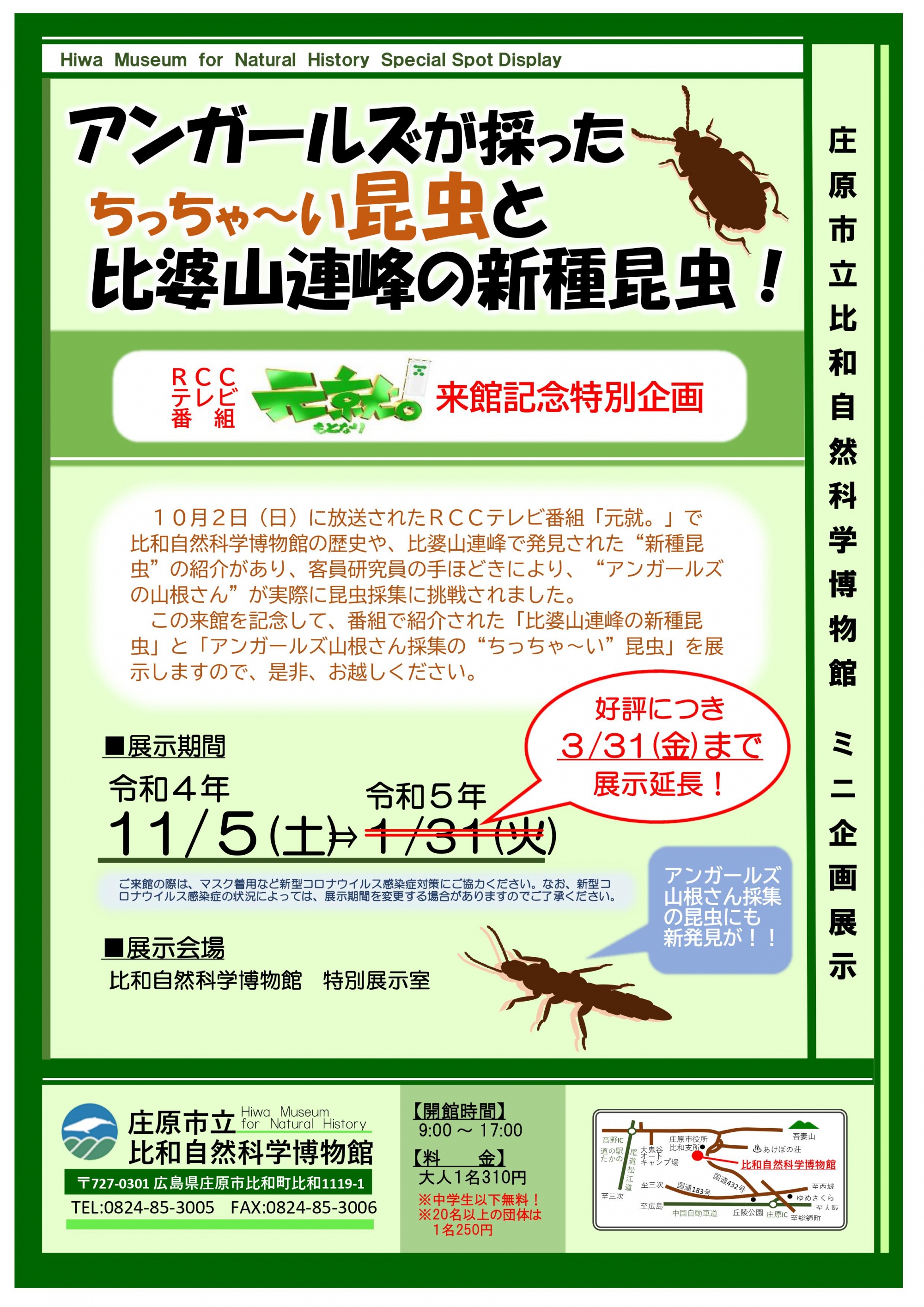 比和自然科学博物館ミニ企画展示「アンガールズが採った ちっちゃ～い昆虫と比婆山連峰の新種昆虫！」