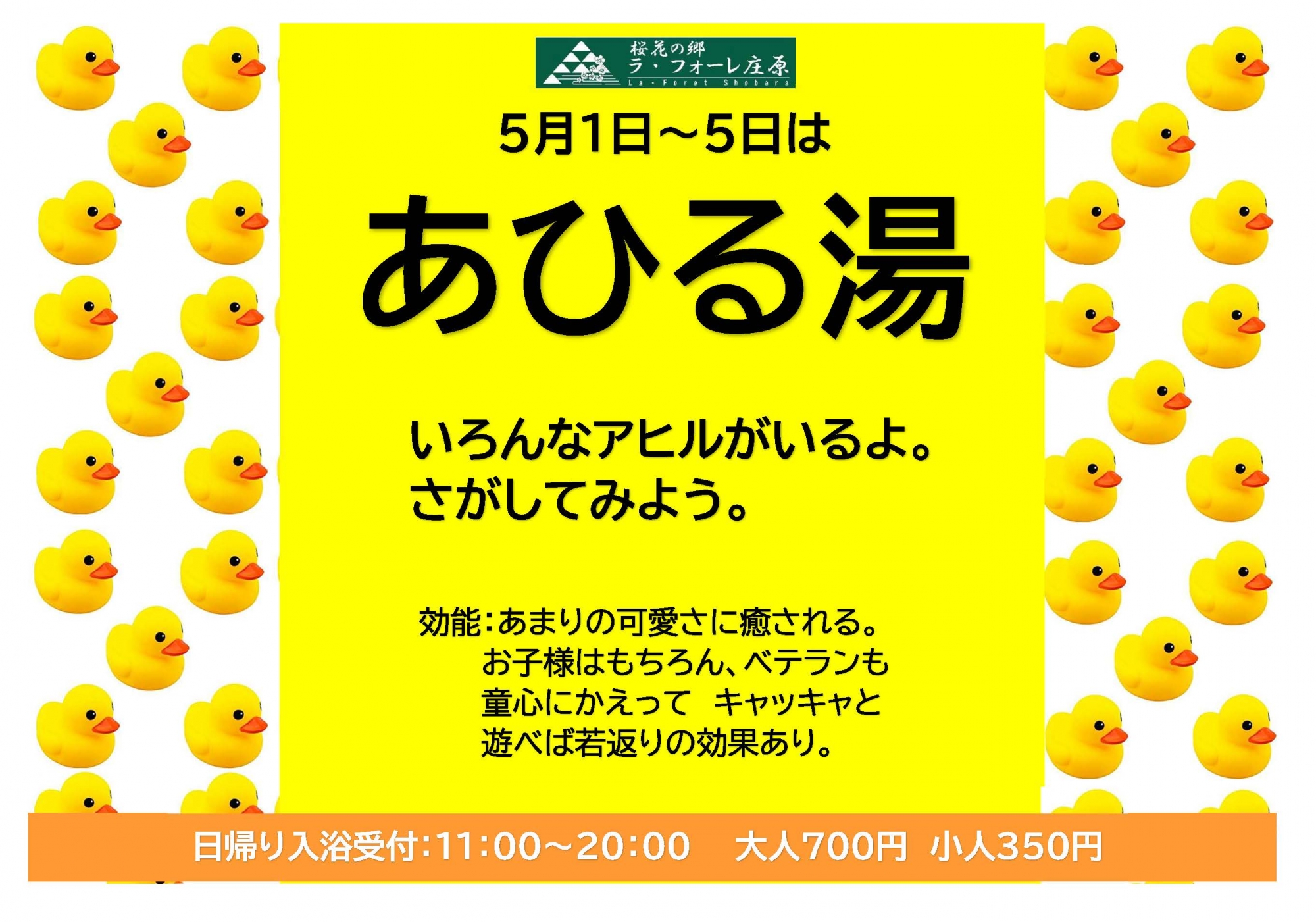5/1~5/5 GWはあひる湯へ/桜花の郷ラ・フォーレ庄原