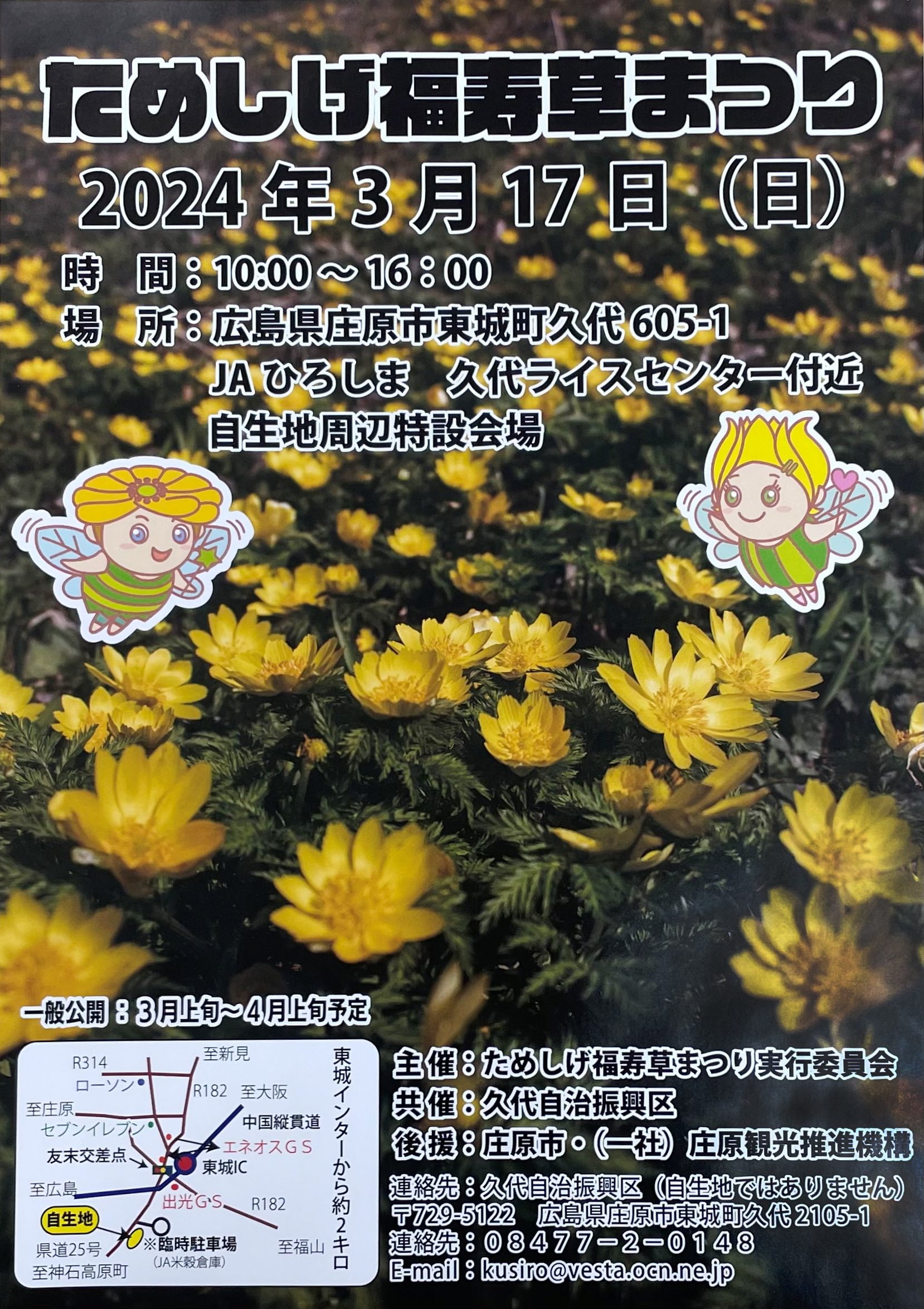 3/17 ためしげ福寿草まつり