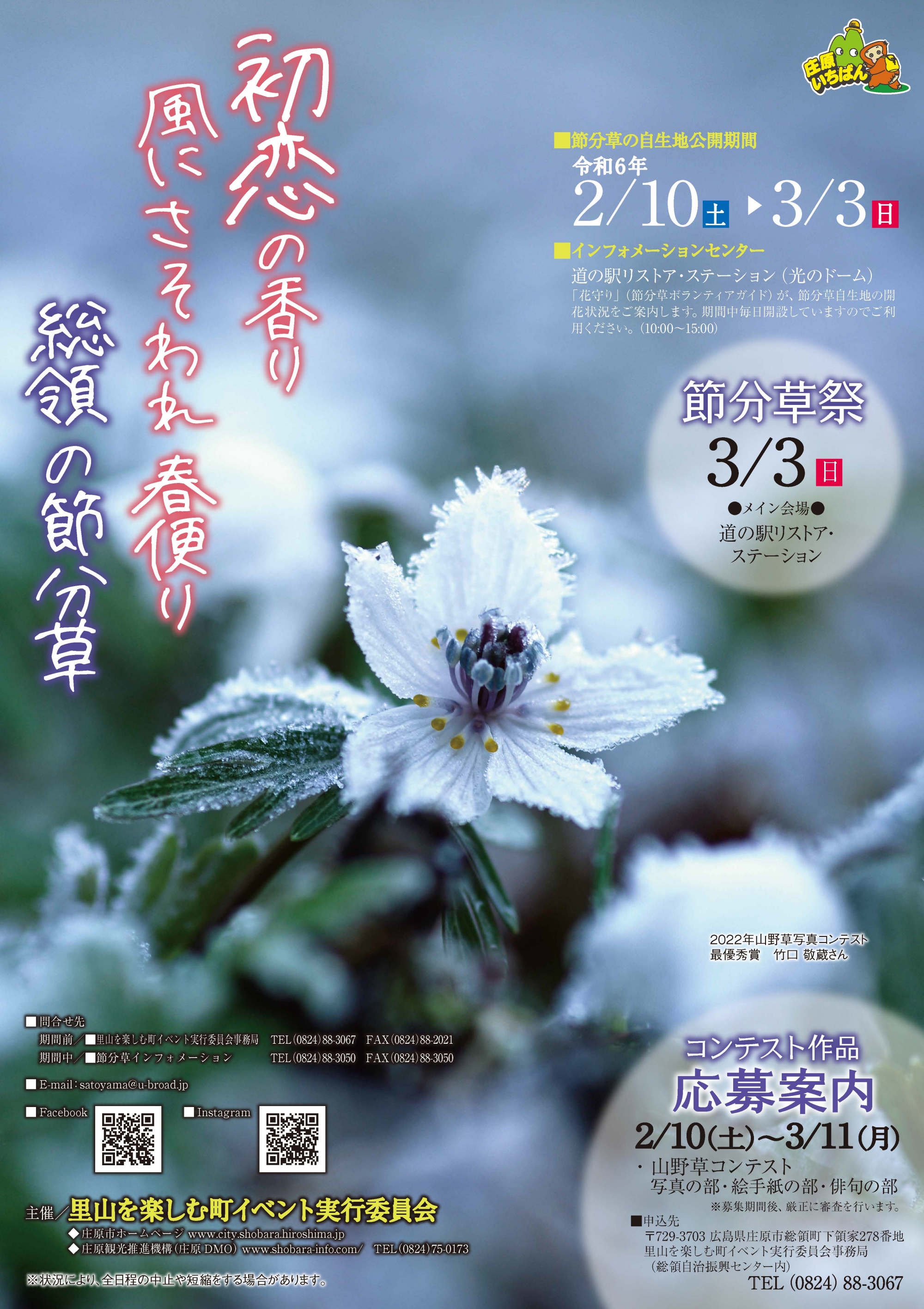 2/10~3/3 節分草の自生地公開/節分草祭