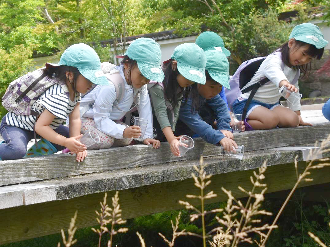 ホタル観察・カワニナ放流会|国営備北丘陵公園
