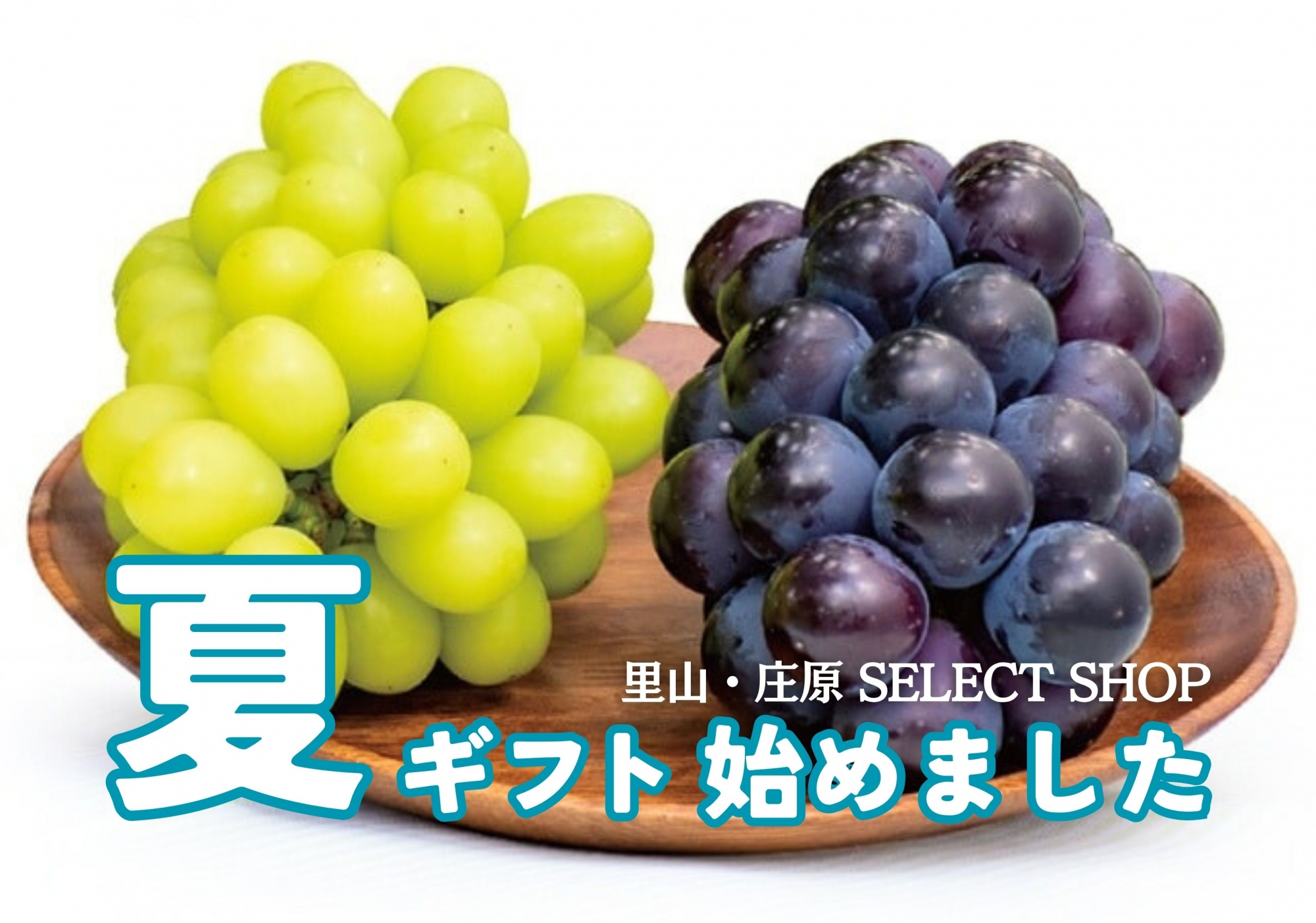夏ギフト
