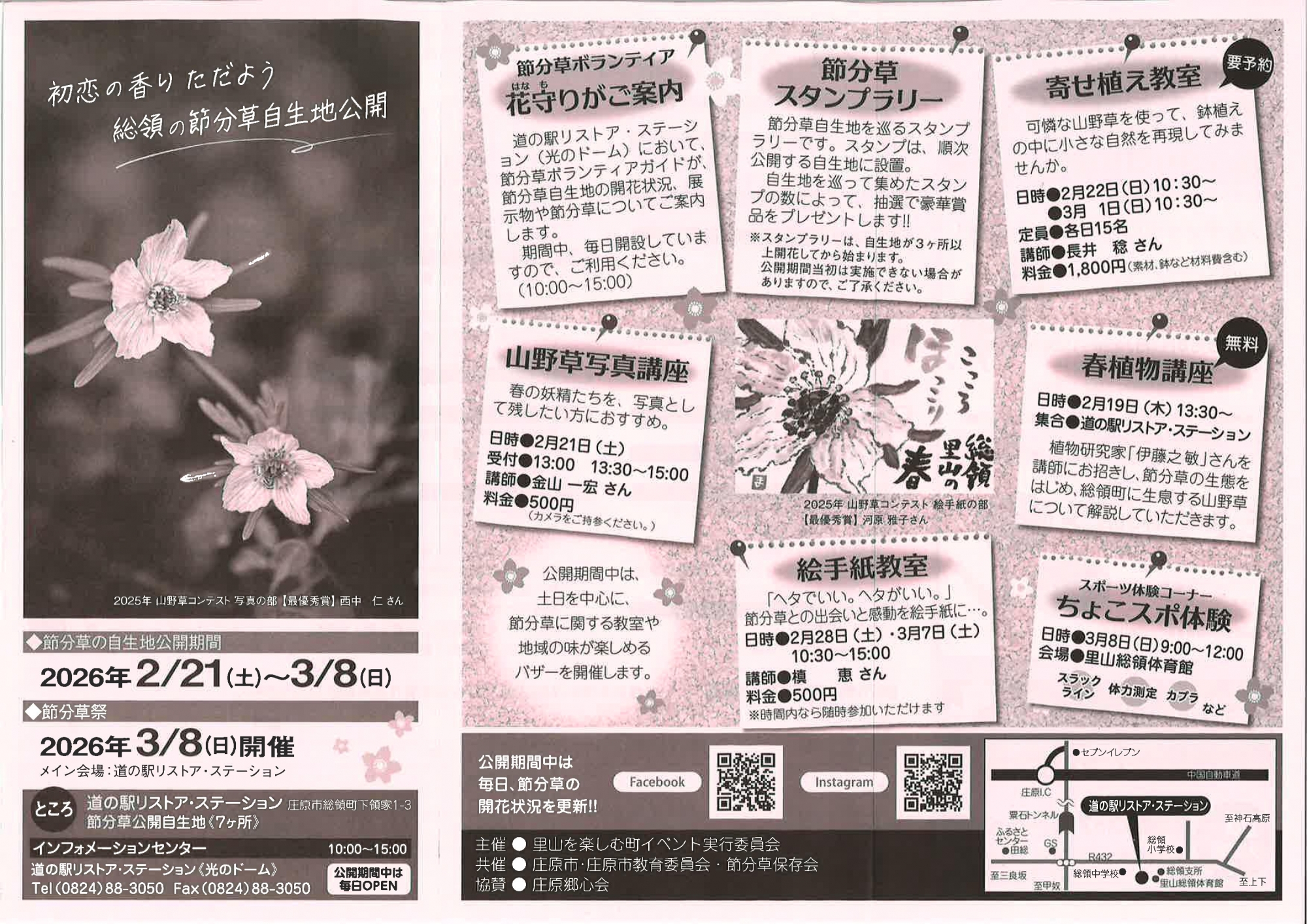 節分草自生地公開／節分草祭り