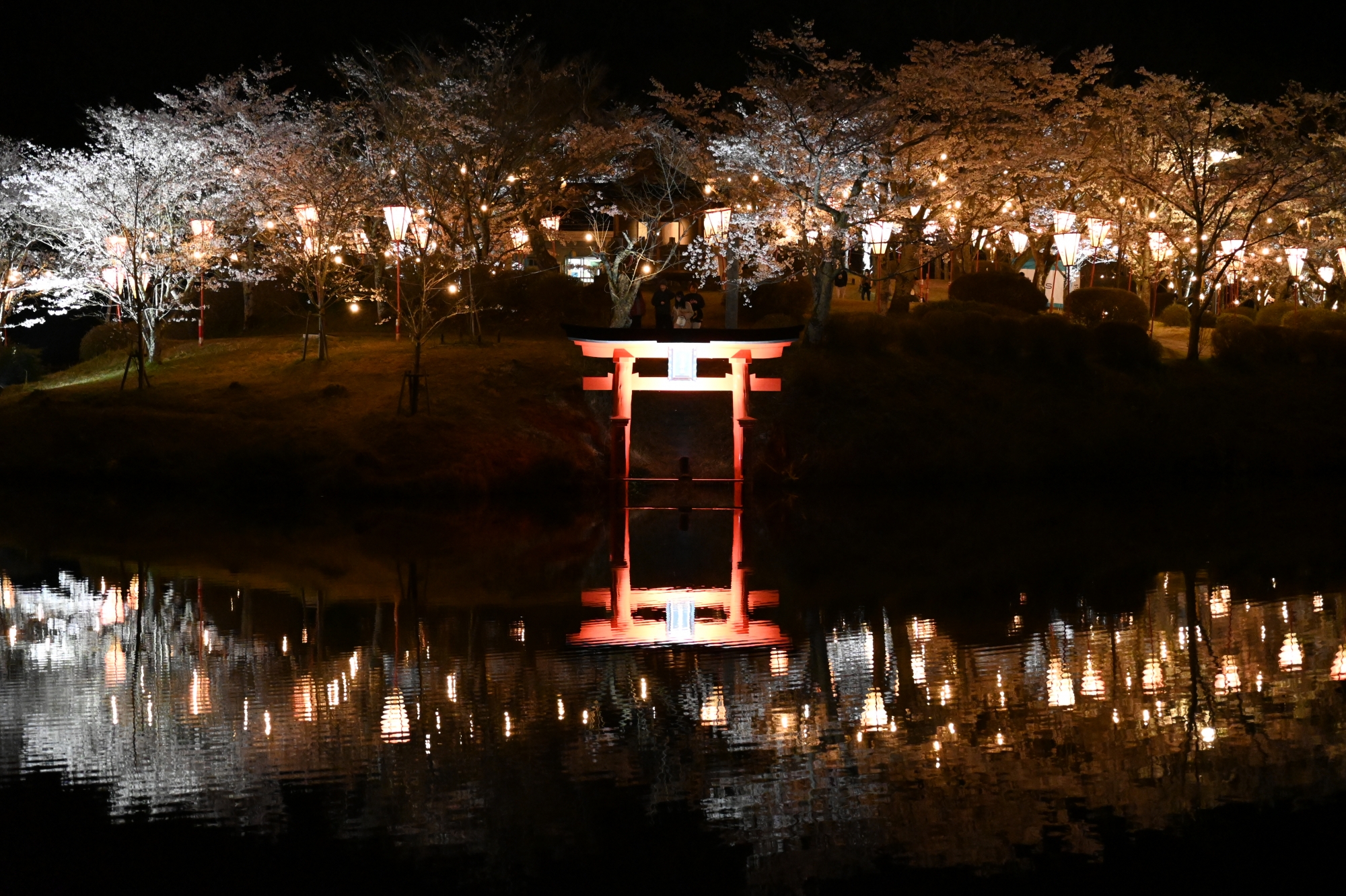 上野公園 桜まつり2026