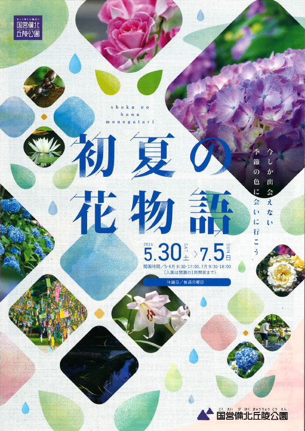 初夏の花物語