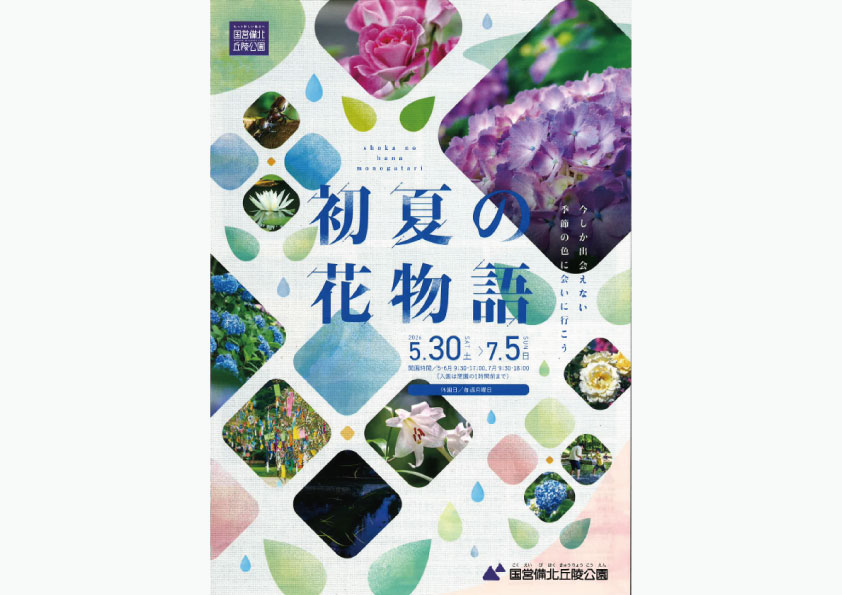 初夏の花物語