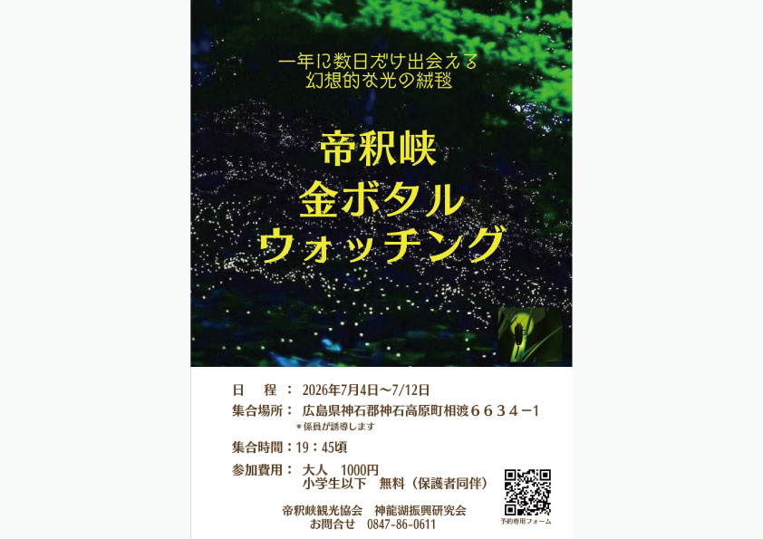 帝釈峡 金ボタルウォッチング